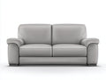 Divano a due posti - pelle sintetica - 206x88x76 cm - grigio chiaro - moderno semplice